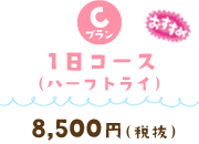1日コース（ハーフトライ）(8500)¥9350