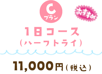 1日コース（ハーフトライ）(10,000)¥11,000